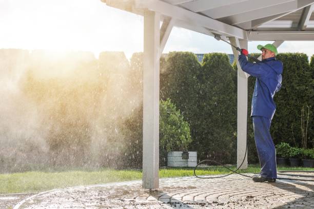 Best Fence Cleaning and Maintenance in Collinsville, VA